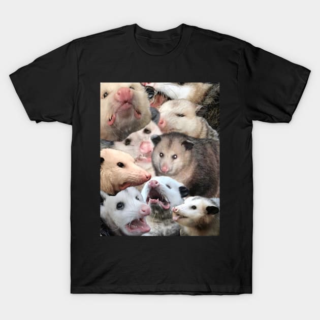 Possum collage T-Shirt by NightvisionDesign